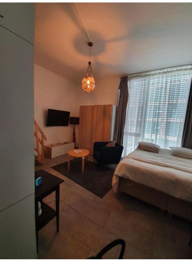 Modern Studio With Mezzanine Le Mont-Sur-Lausanne Exteriér fotografie
